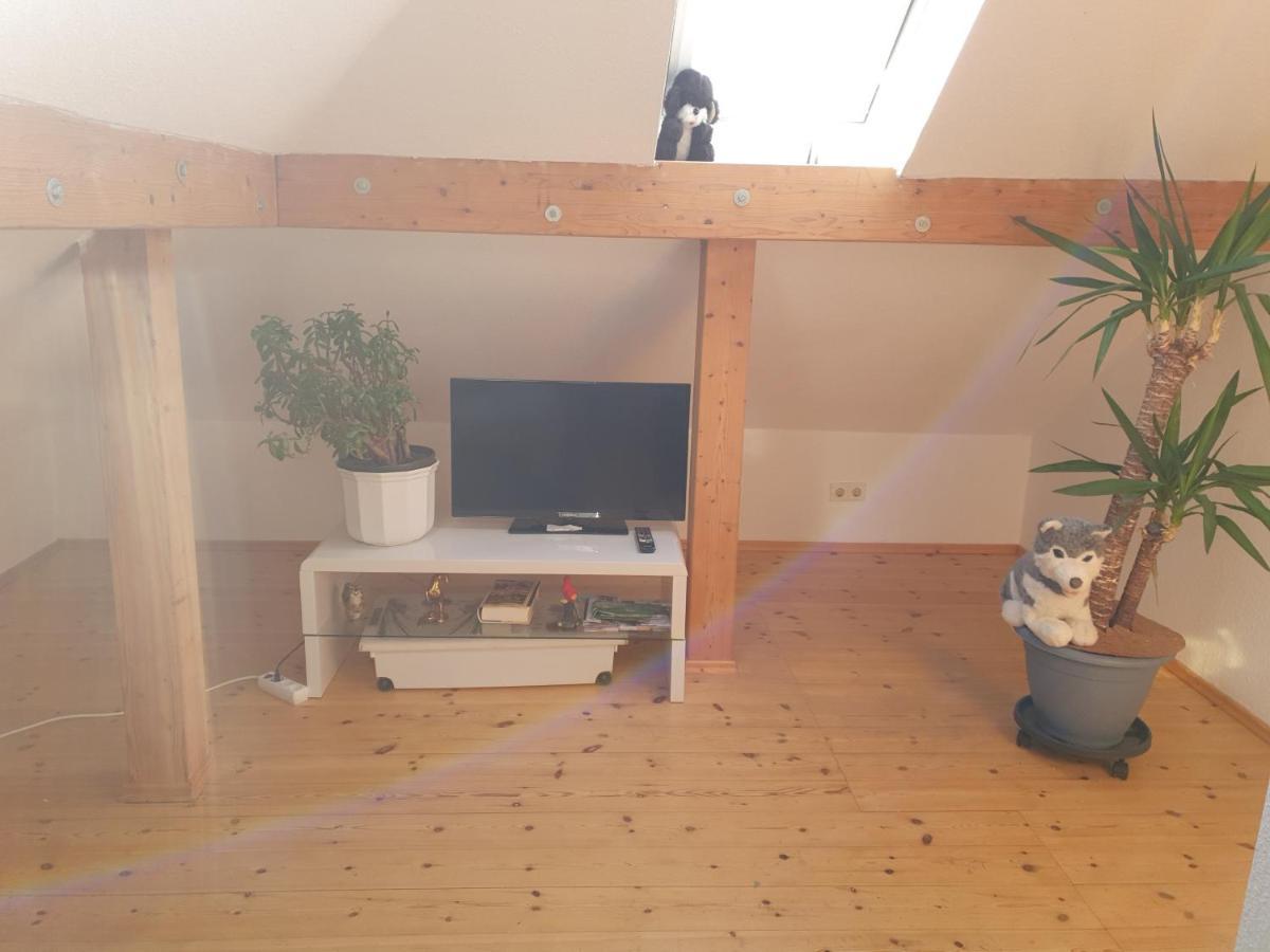 Hotel, Ferienwohnung, Zimmer バート・ドリーブルク エクステリア 写真